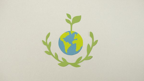 Guide sur les panneaux solaires photovoltaïques pour économiser